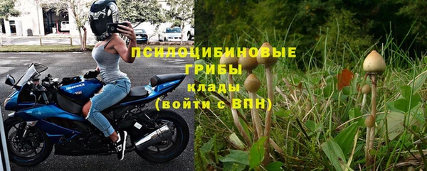 спиды Костерёво