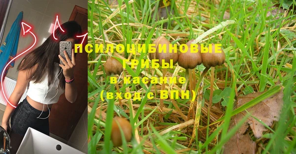 ALPHA-PVP Козловка